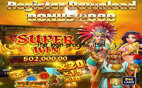 The login process itself was smoother than I expected